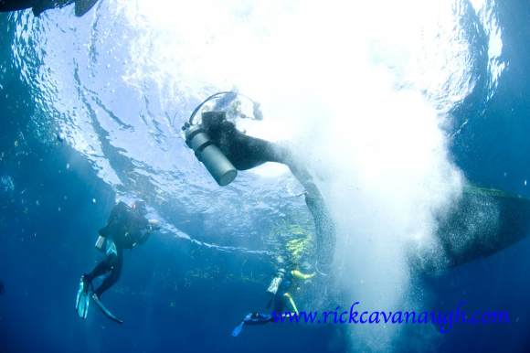 Scuba Divers in Utila